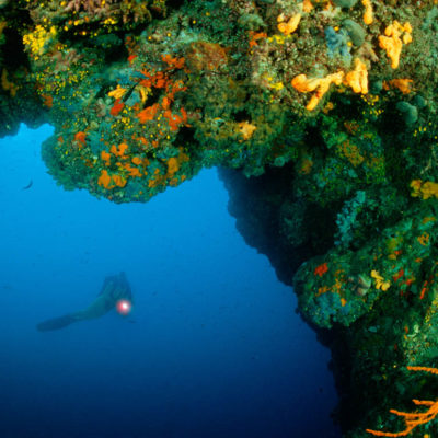 A2KTA1 Scuba diver in front of a cave, Tremiti, Itlay