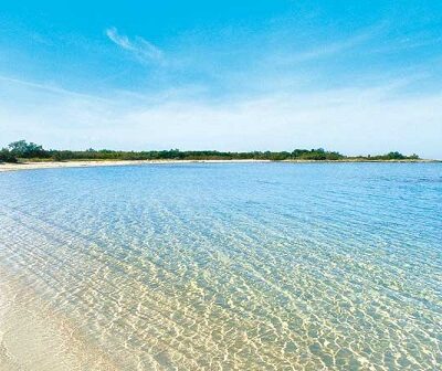 Torre Guaceto Gay Beach