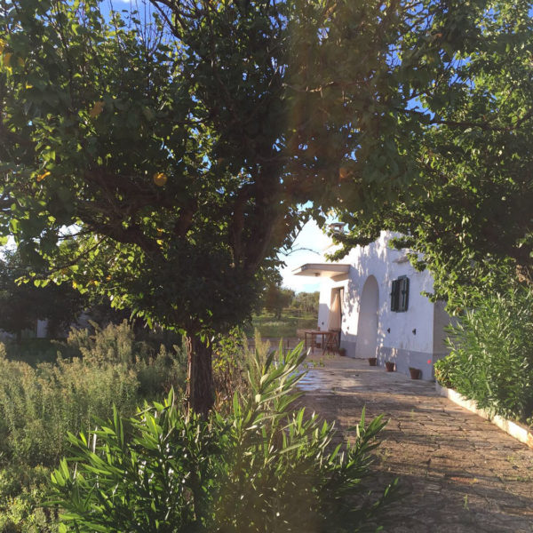 Stay in a typical Puglia house