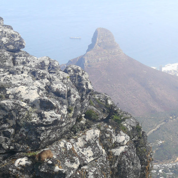 Gay Cape Town Tour Lions Head